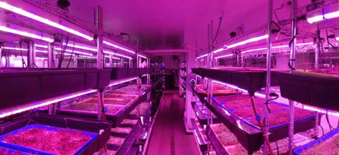 <pre>Vertical Farm Startup инвестирует в светодиодное освещение для садоводства компании Current, чтобы выращивать салат и травы
